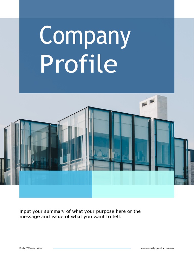White Blue Modern Company Profile | PDF | Market (Economics) | Brand