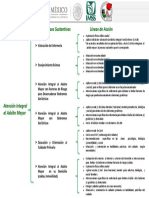 Manual Del Adulto Mayor