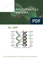 Ácidos y Proteínas