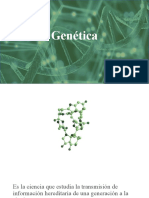 Genética: estudio transmisión hereditaria