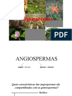 Angiospermas