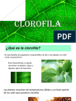 Clorifila 2