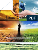 Impacto Ambiental