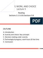 Scarcity, Work, and Choice: Reading Sections 3.1-3.6 & Sections 3.8