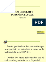 CLASE 06 Ciclo Celular y Mitosis