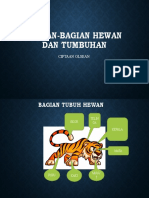 Bagian-Bagian Hewan Dan Tumbuhan Olsean Kelas 5 Shidiq