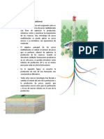 Pozos Multilaterales, Resumen de Carlos