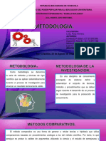 Metodologia PP