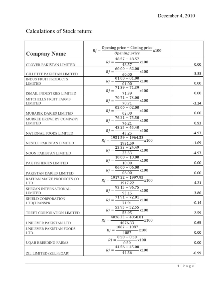 Stock Return Calculation Guide | PDF