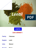 14 Lentil