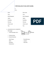 Format Pengkajian Pada Ibu Hamil