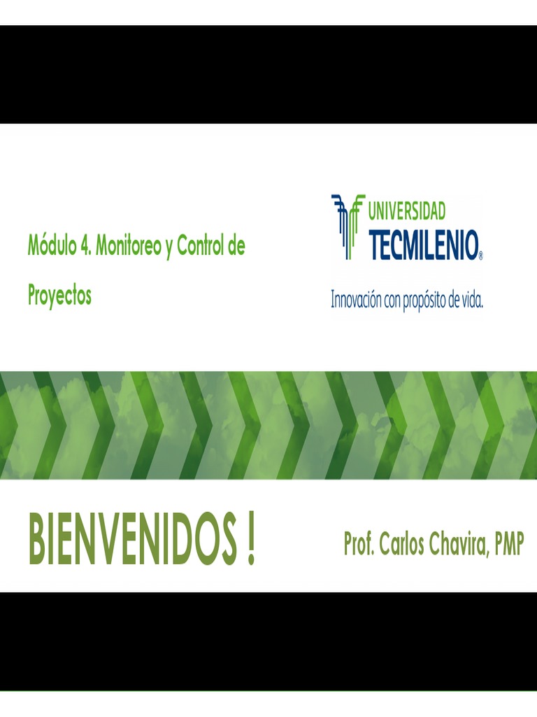 Monitoreo Y Control De Proyectos Pdf Histograma Business