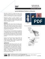 Detecting & Identifying Termites