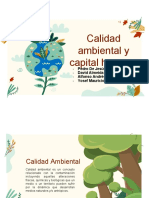 Calidad Ambiental y Capital humanoFINAL