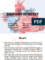 Anatomy of Heart 65381385