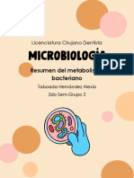 Resumen Del Metabolismo Bacteriano