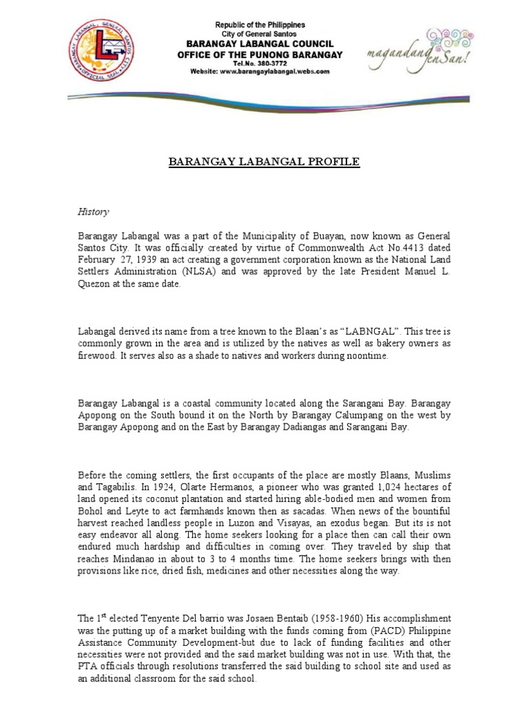 Barangay Labangal Profile Overview | PDF | Pneumonia | Wellness