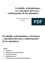 Estructura y mecánica del casco equino