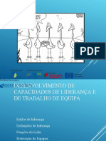 ApresentacaoSobreLideranca