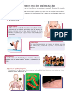 Conoce los tres aspectos de la salud integral