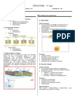 FICHA ESTUDO - CITOLOGIA 1º Ano