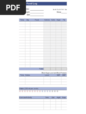 Daily Food Log