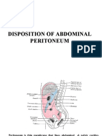 Disposition of Abdominal Peritoneum