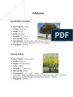 Árvores Arbóreas Descrição