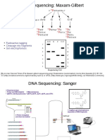 DNA Sequencing: Maxam-Gilbert: Radioactive Tagging Cleavage Into Fragments Gel Electrophoresis