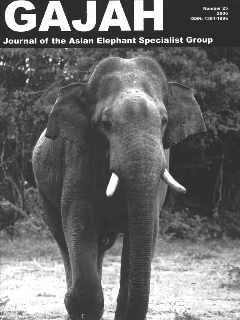 Hills like white elephants paper image