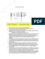 2.1 División Anatómica y Funcional Del Sistema Nervioso