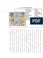 Sopa de Letra Del Sistema Endocrino 2022