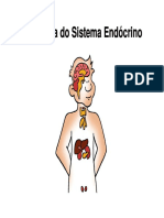 Sistema Endócrino I 2019.03