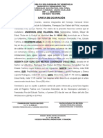 Carta de Ocupación para Anderson José Villareal Roa