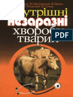 Внутрішні Незаразні Хвороби Тварин