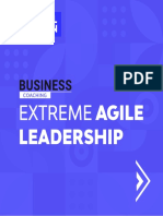 BC SE6 Extreme Agile Leadership JAN 2021 6