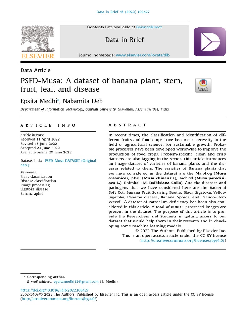 Banana Leaf PDF Banana Raw Image Format