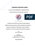 Erlin Tesis Licenciatura 2019