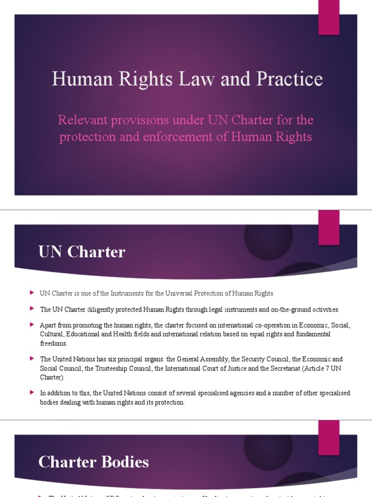 Human Rights Law and Practice | PDF | United Nations | International ...