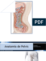 Anatomía de la Pelvis