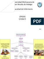 Lípidos U3: clasificación, funciones y tipos de ácidos grasos