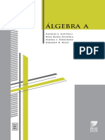 Libro Algebra A 2020 Autores Capitelli Escayola Fernandez Rossi