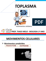 Citoplasma - Movimentos Celulares - Top 1