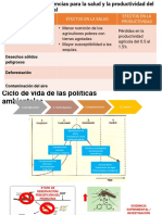 Principales Consecuencias para La Salud y La Productividad