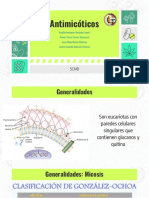 Antimicóticos 