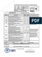 Formato - Informe - Progreso - 2022 - JJB Larico Siguayro