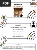 Cobertura de Fibras Naturais