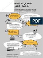 Prescripción Del Cae: Etapa Probatoria