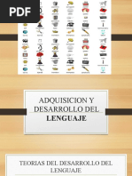 Adquisicion y Desarrollo Del Lenguaje