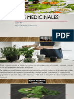 Plantas Medicinales Clase 1 Actual